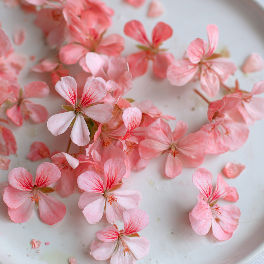 GERANIUM EO