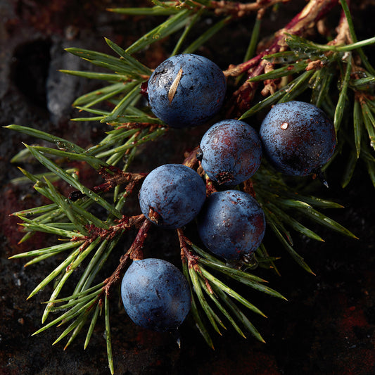 JUNIPER BERRY EO